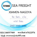 Xiamen Port Seefracht Versand nach Nagoya